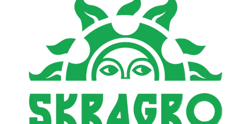 8107345d-7527-4b37-ad8d-3e28072ad9ac-bandicam_2025-08-07_.png